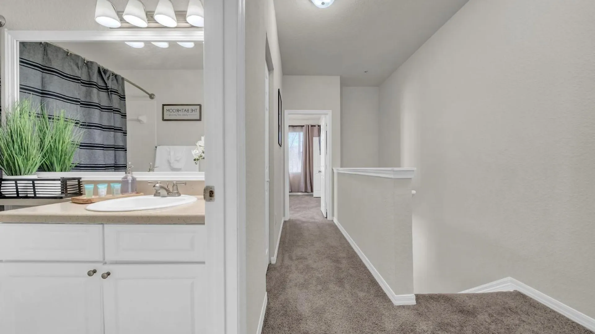 Oasis 2Br2Ba- Minutes To Airport & Westchase #8 Apartment Tampa 0*,  United States